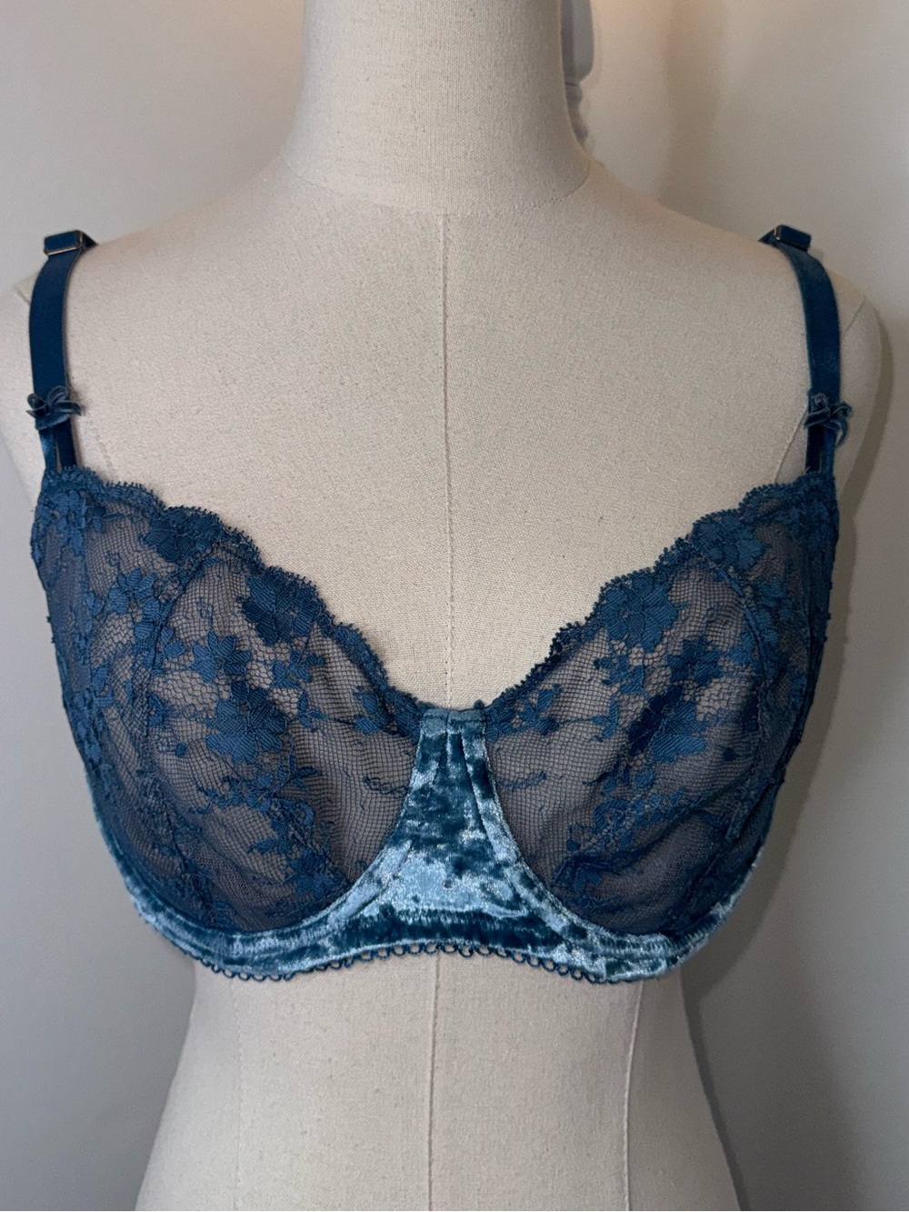 Victoria’s Secret Women’s 38DD Blue Velvet Lace Dream Angels Push Up Sheer Bra